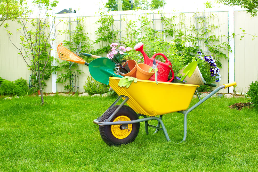 Most Essential Gardening Tools That Every Gardener Needs