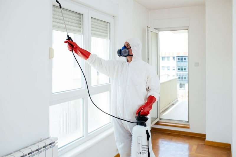 Why Should Anyone Do Termite Control, and What Will They Get from It?